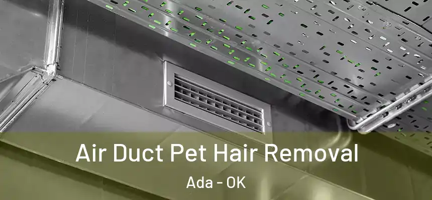  Air Duct Pet Hair Removal Ada - OK
