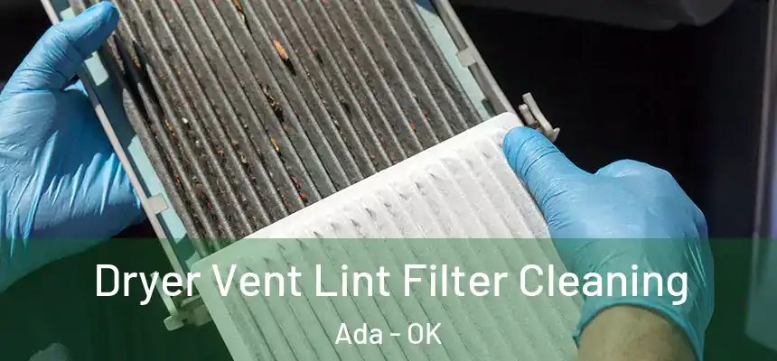  Dryer Vent Lint Filter Cleaning Ada - OK