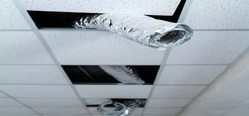 Affordable HVAC Sanitizing After Pest Removal in Ada