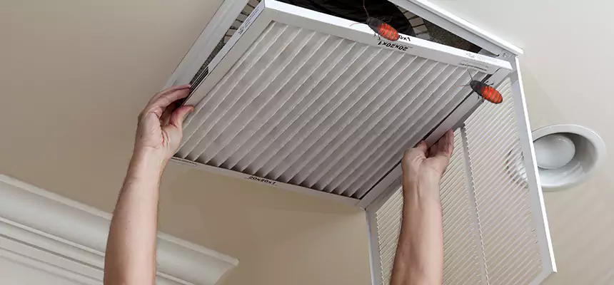 Our Insect Removal from Air Ducts Services in Ada, OK