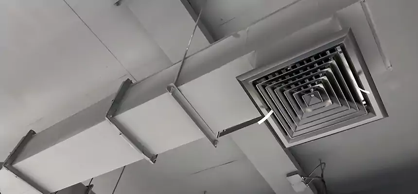 Our Rodent Droppings In Vents Services in Ada, OK