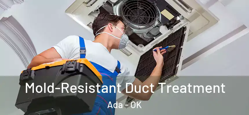  Mold-Resistant Duct Treatment Ada - OK