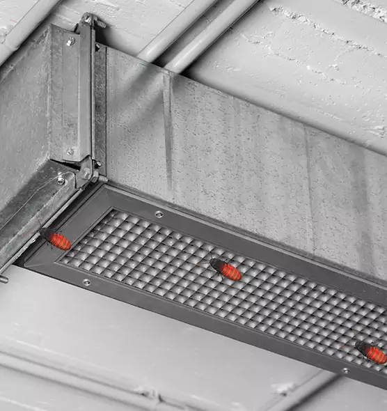 About Air Duct Cockroach Removal in Ada, OK