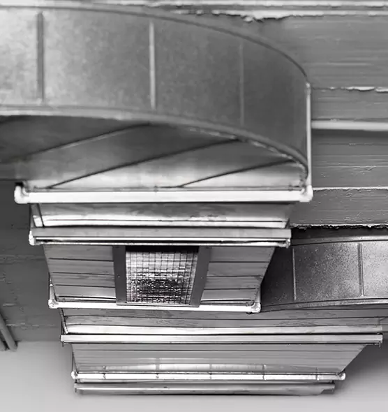 Professional Air Duct Pest Removal in Ada, OK