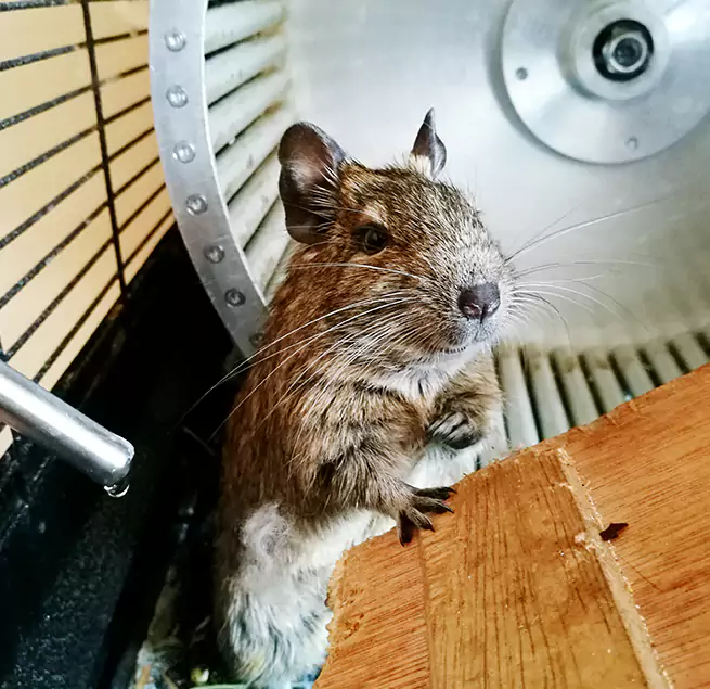 Why Homeowners & Businesses Trust Us Ada, OK